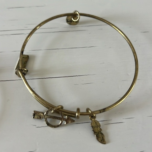 Lot of 4 Alex and Ani Bracelets Dragonfly Team USA Healing Love Arrow Feather‎ - Picture 7 of 7